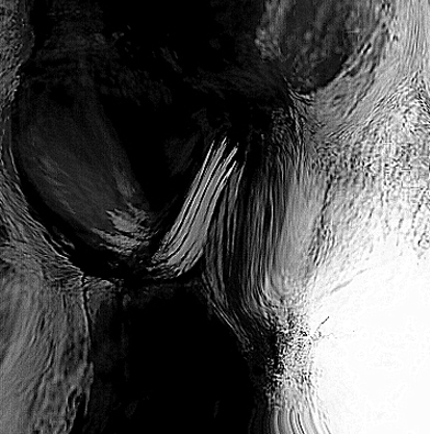 S/T  Óleo sobre tabla, textura mixta - 150X90 CM
Año 2015